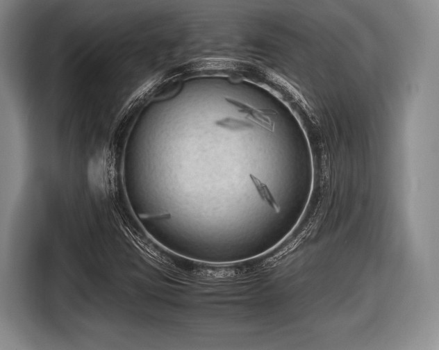 X0000116621403200912181255