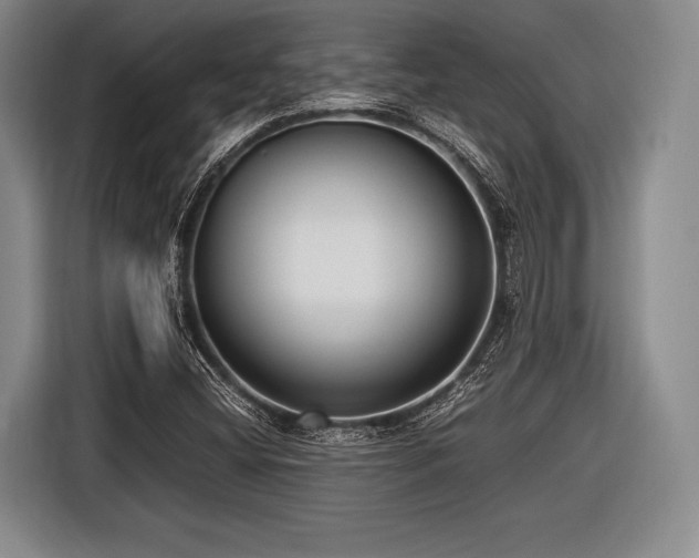 X0000116621404200912181255