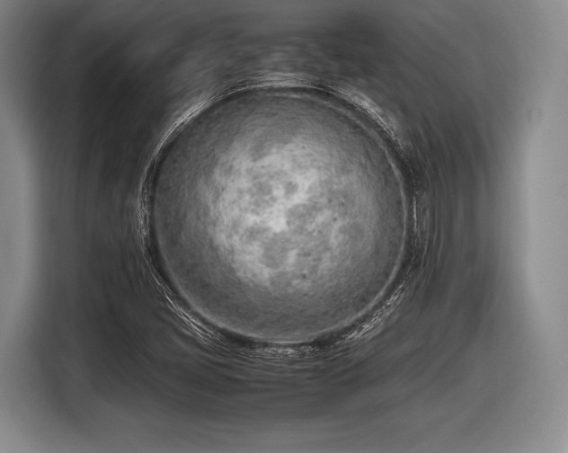 X0000116621405200912181255