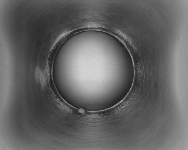 X0000116621408200912181255