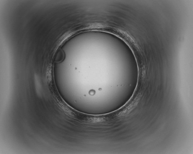 X0000116621409200912181255