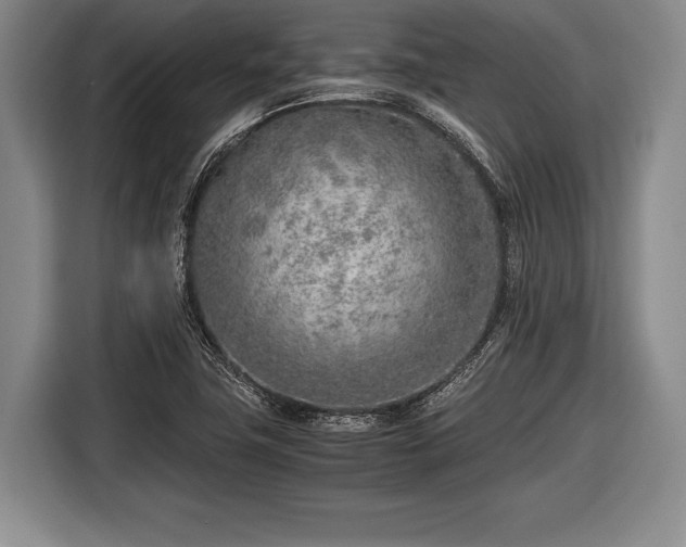 X0000116621411200912181256