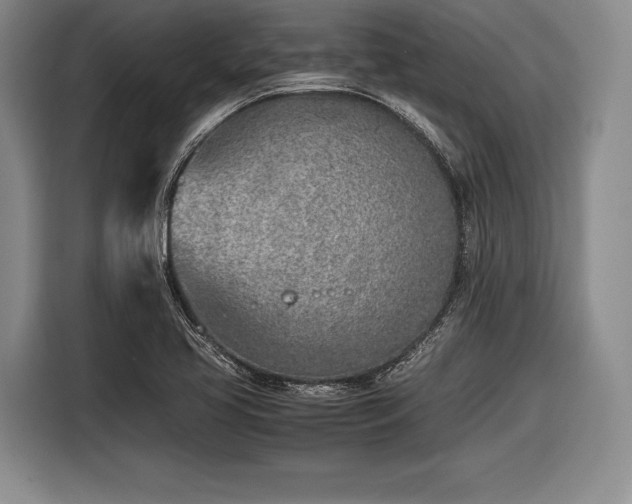 X0000116621413200912181256