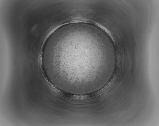 X0000116621415200912181256