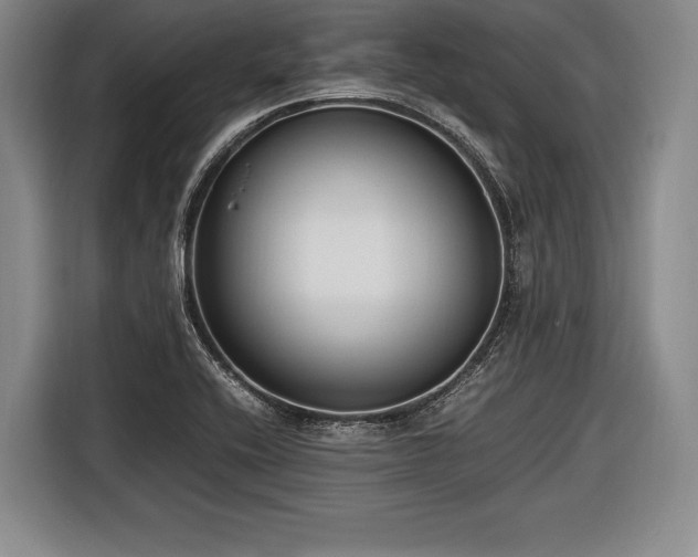 X0000116621416200912181256