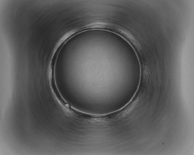 X0000116621418200912181256