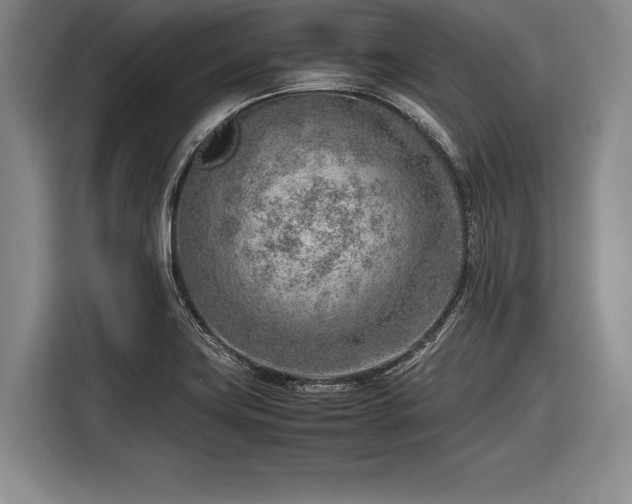 X0000116621419200912181256