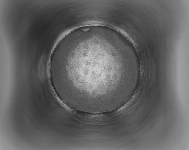 X0000116621421200912181256