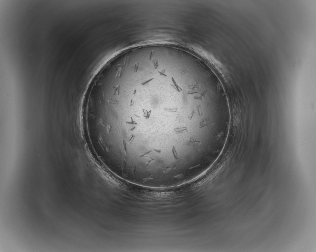 X0000116621423200912181256