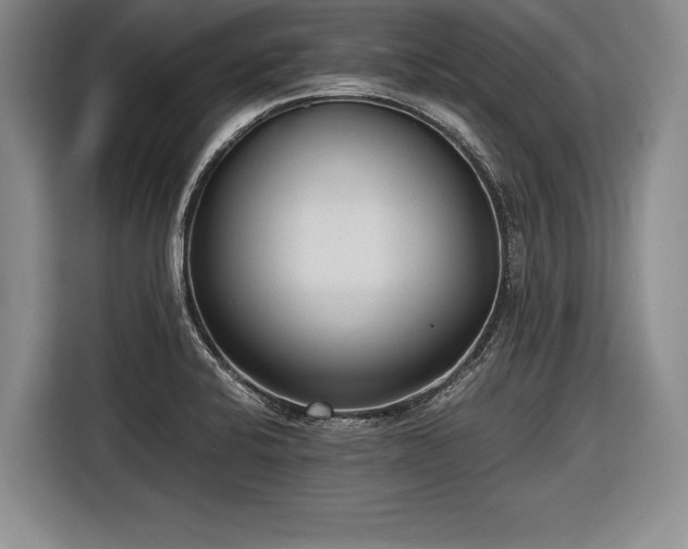 X0000116621424200912181256