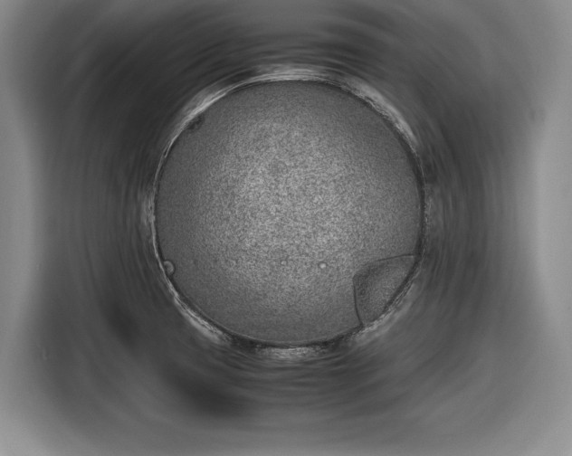 X0000116621425200912181256