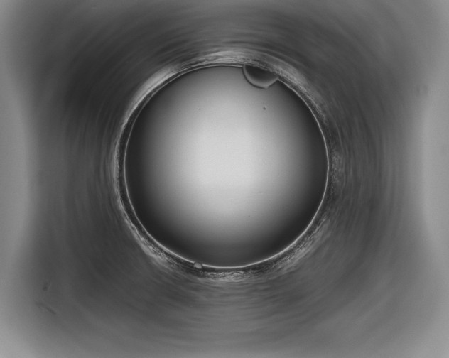 X0000116621426200912181256