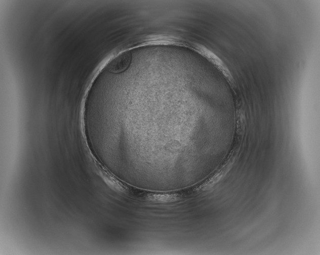 X0000116621427200912181256
