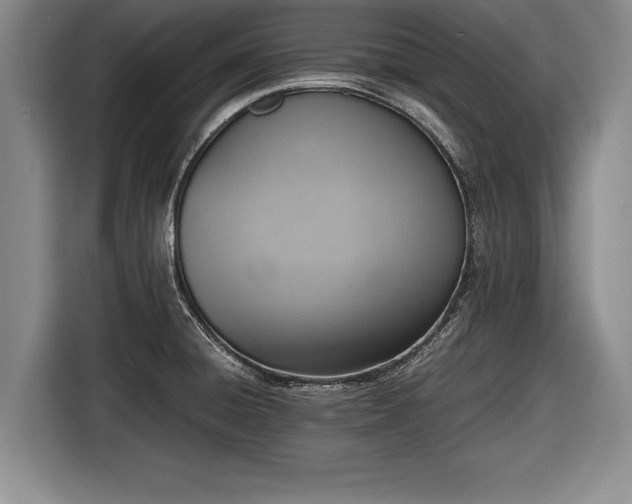 X0000116621428200912181256