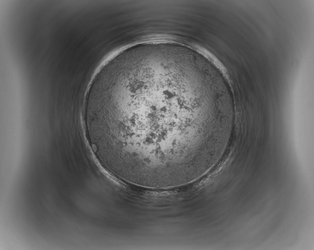 X0000116621429200912181256