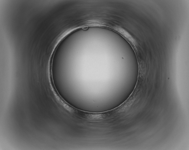 X0000116621431200912181256