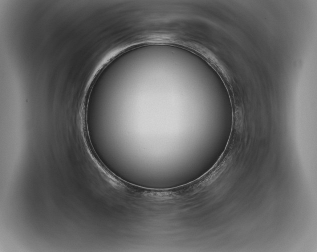 X0000116621432200912181256