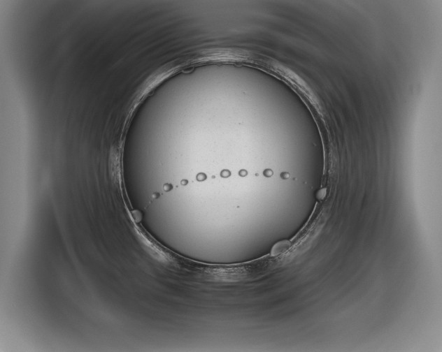 X0000116621433200912181256