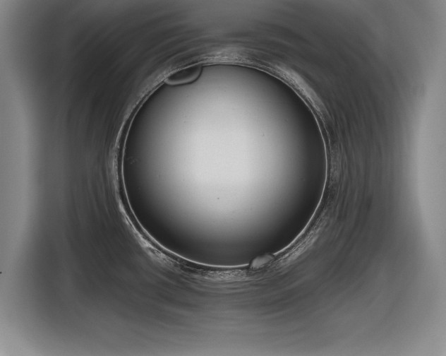 X0000116621434200912181256