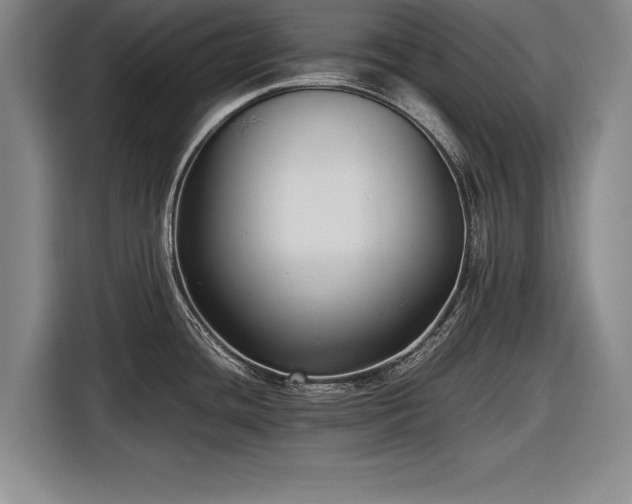 X0000116621436200912181256
