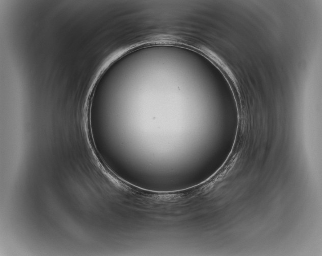 X0000116621437200912181256