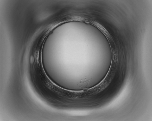 X0000116621439200912181256
