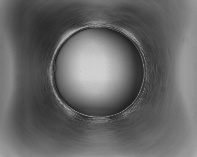 X0000116621440200912181256