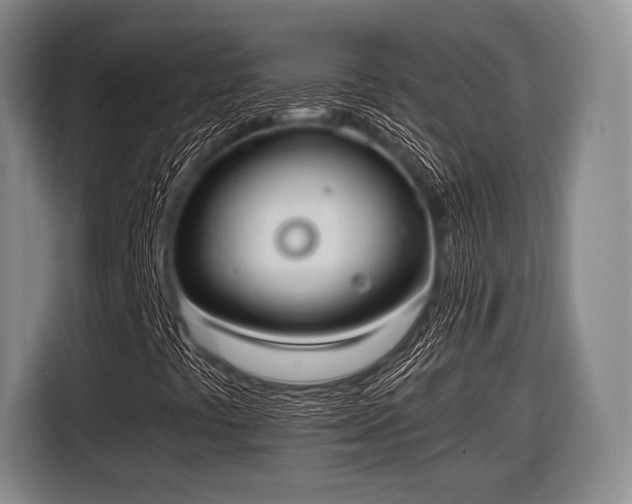 X0000116621441200912181255