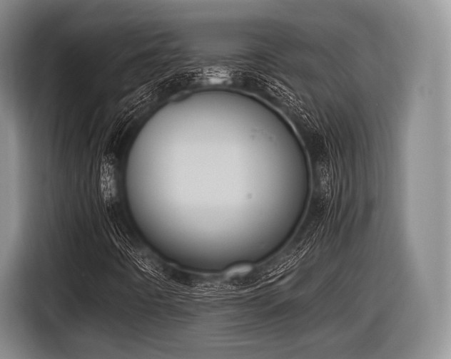 X0000116621442200912181255