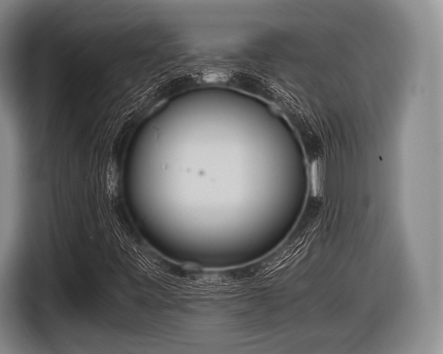 X0000116621443200912181255