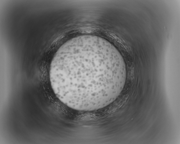 X0000116621446200912181255