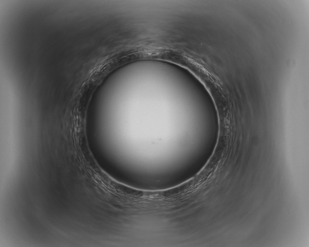 X0000116621447200912181255