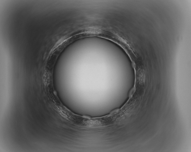X0000116621448200912181255