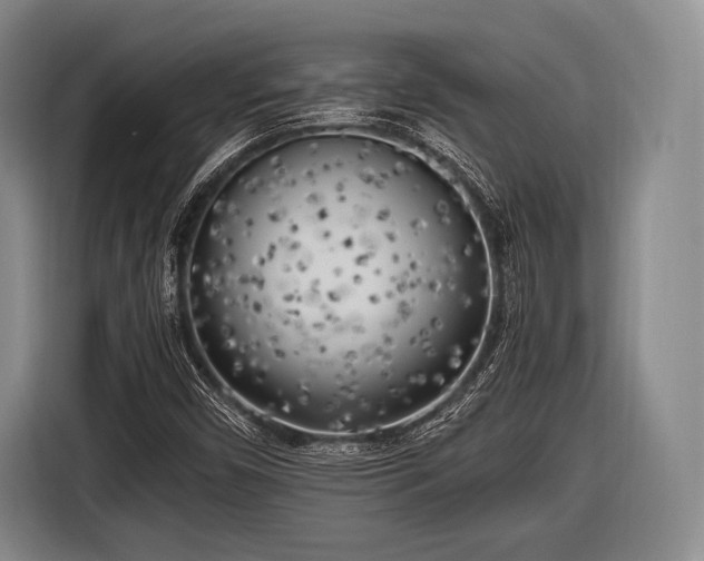 X0000116621450200912181255
