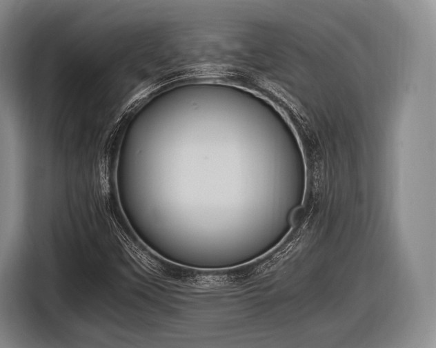 X0000116621451200912181255