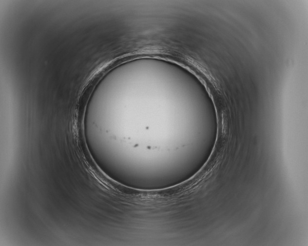 X0000116621452200912181255