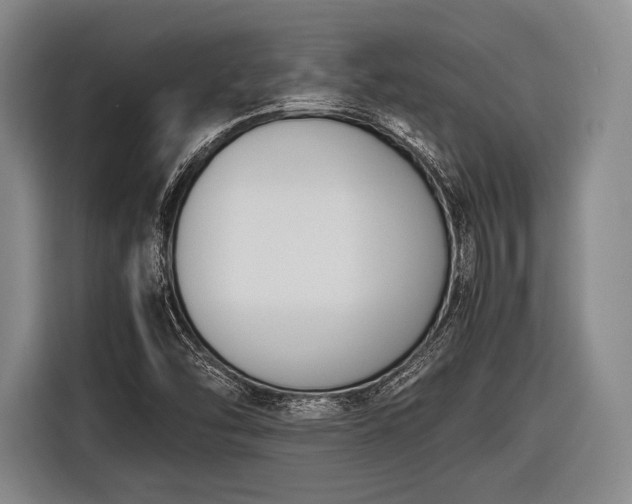 X0000116621454200912181255