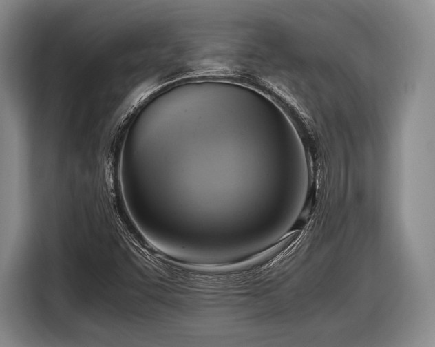 X0000116621455200912181255
