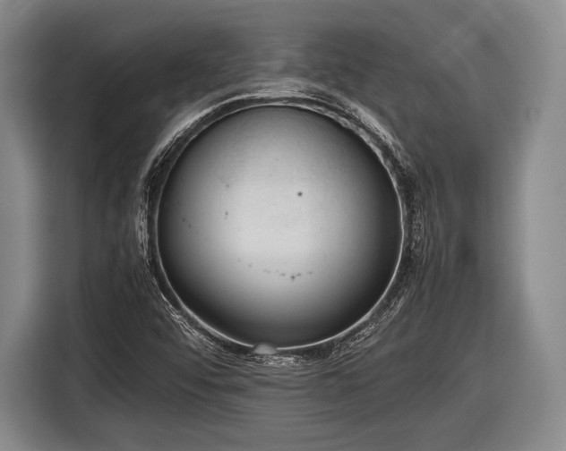 X0000116621456200912181255