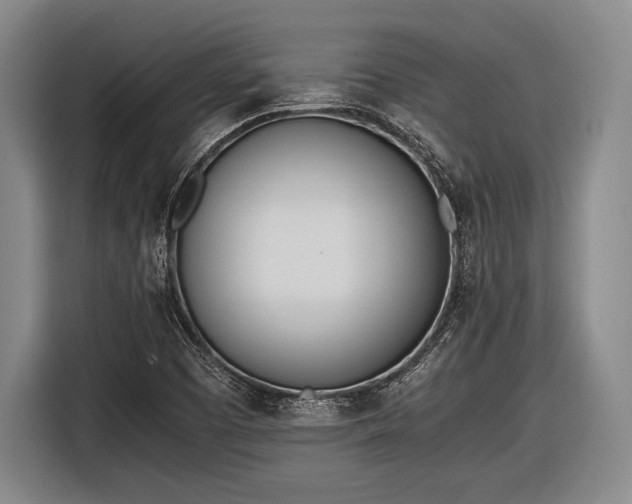 X0000116621457200912181255