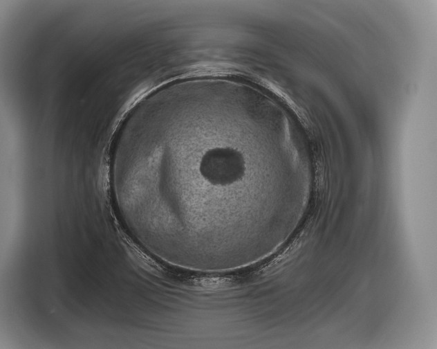 X0000116621459200912181255