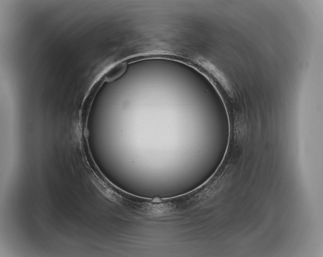 X0000116621460200912181255