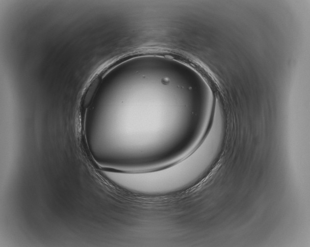 X0000116621461200912181255
