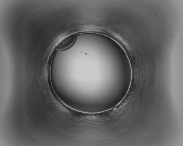 X0000116621463200912181255