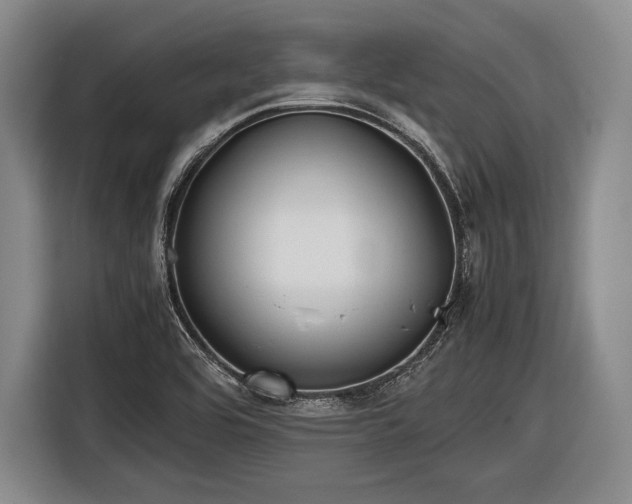 X0000116621464200912181255