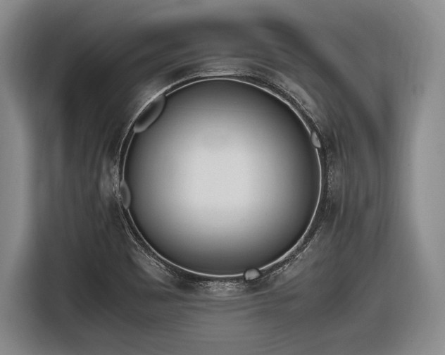 X0000116621465200912181255