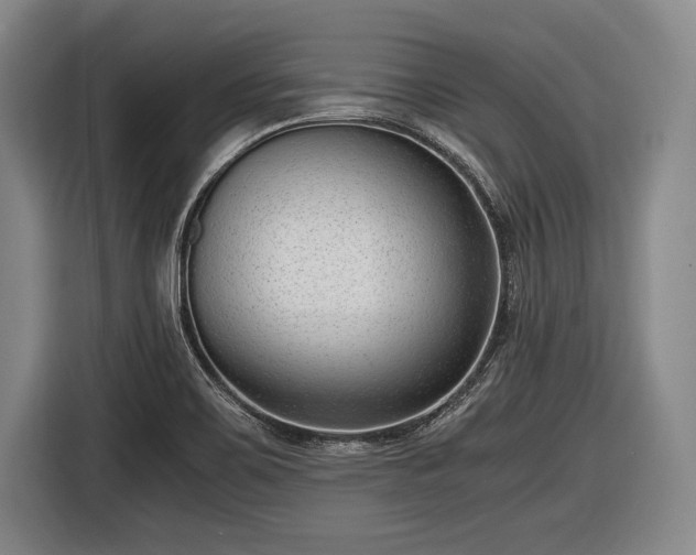 X0000116621467200912181255