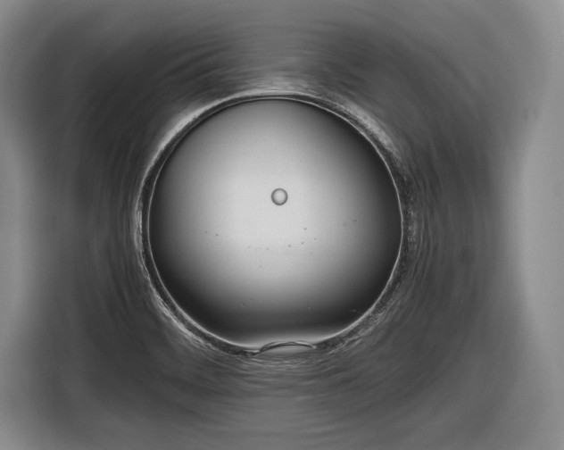 X0000116621468200912181255