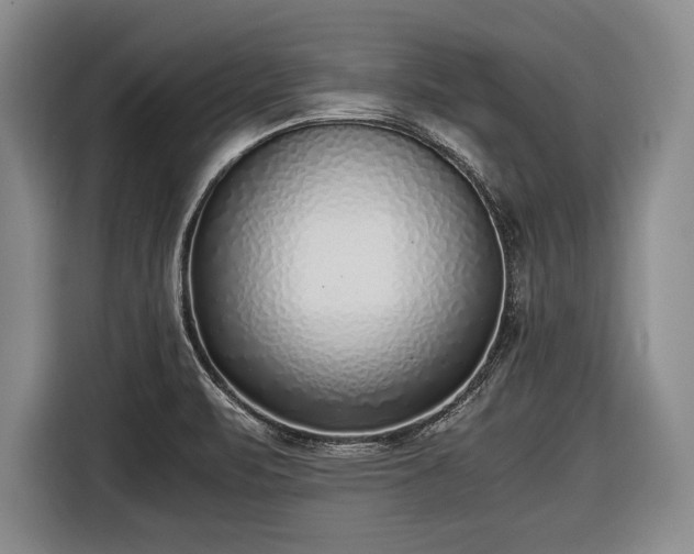 X0000116621471200912181255
