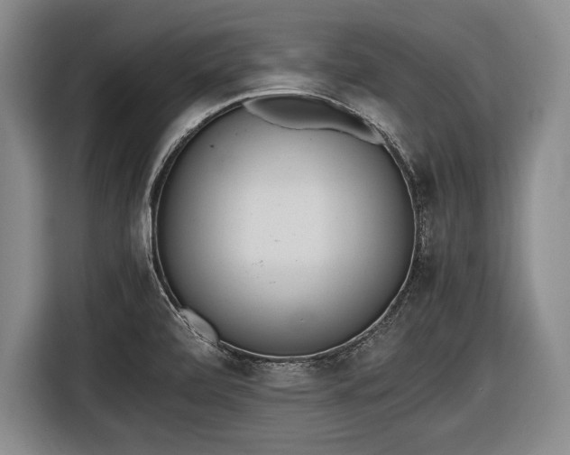 X0000116621472200912181255